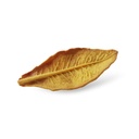 fulla de tabac de país